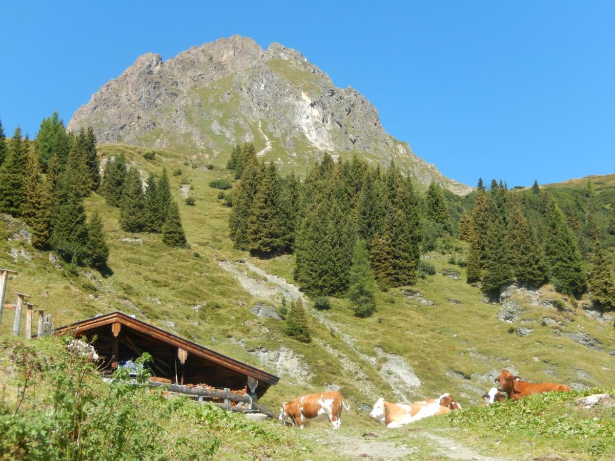 Ff Apartment Bramberg am Wildkogel